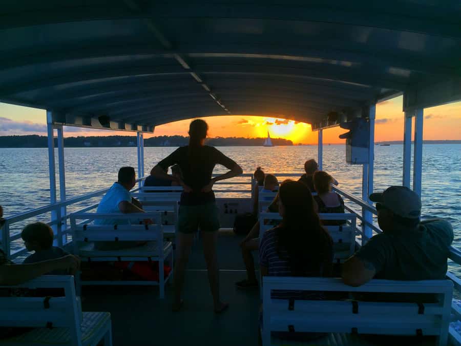 Hilton Head Island: Dolphin Tour at Sunset & Fireworks Show - Price and Value: Is $69 Worth It for This Specific Evening?