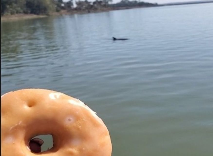Hilton Head Island: Dolphin Watching Cruise with Donuts - Why Donuts and Dolphins Work So Well on Hilton Head