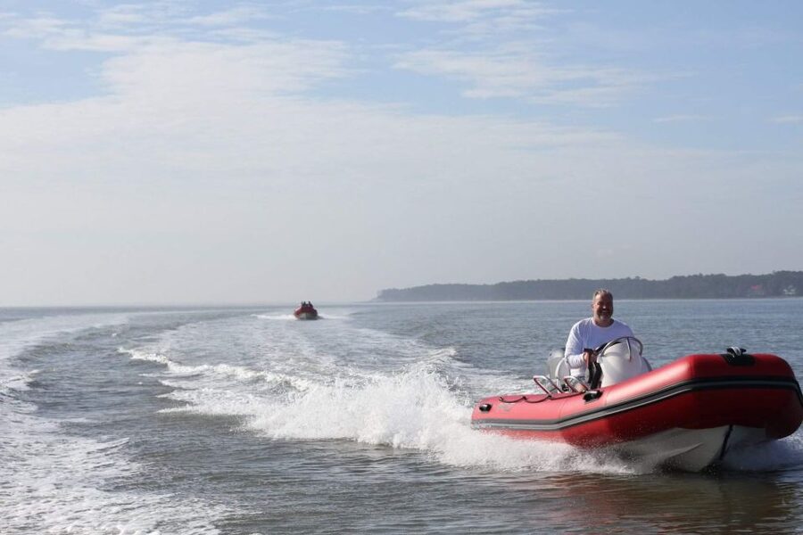 Hilton Head Island: Mini Boat Dolphin Tour - Wildlife beyond dolphins: how your guide helps you see more