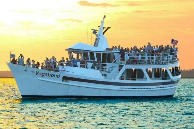 Hilton Head Island Ocean Dolphin Cruise - Weather, Cancellations, and How to Reduce Risk