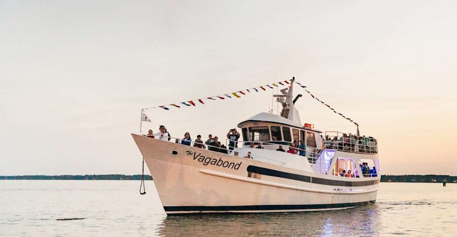 Hilton Head Island: Sunset Dolphin Cruise - Key things that make this cruise worth your time
