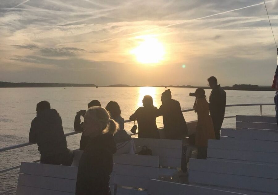 Hilton Head Island: Sunset Dolphin Cruise - First, the big idea: dolphins plus a Daufuskie sunset in 90 minutes