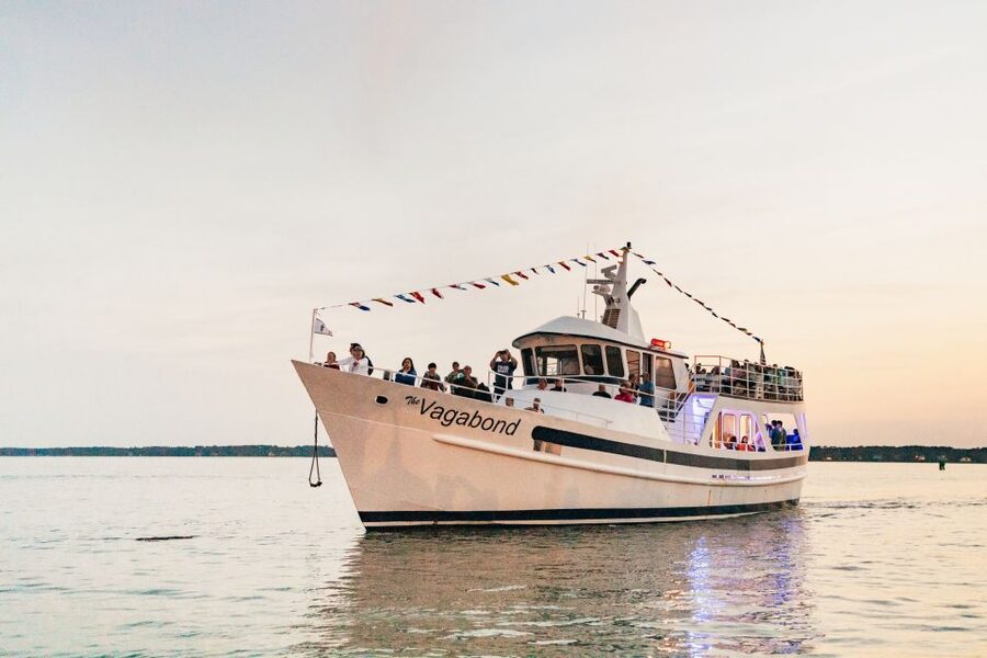 Hilton Head Island: Sunset Dolphin Cruise - Where you meet, where you park, and why “early” is the difference-maker
