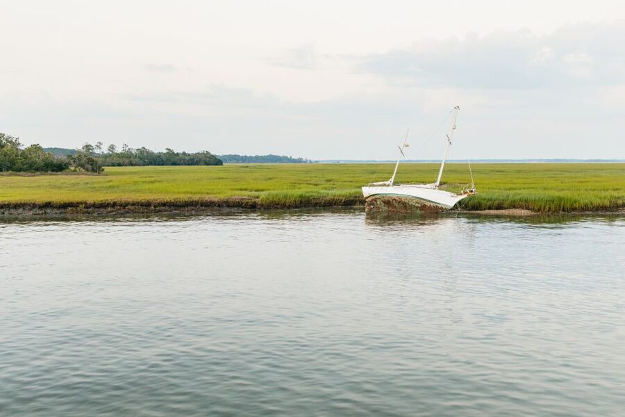 Hilton Head Island: Sunset Dolphin Cruise - Is it worth $50? The value math that actually matters