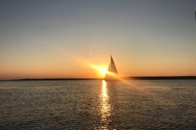 Hilton Head Island Sunset Dolphin Tour - How Dolphin Spotting Works When the Captain Is Looking for Them