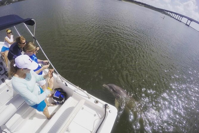 Hilton Head Island Sunset Dolphin Tour - What to Bring (So the Sunset Part Actually Feels Like Sunset)