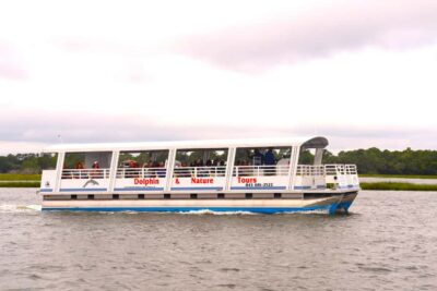 Hilton Head Island: Sunset Dolphin Watching Cruise - Dolphin Watching in Real Conditions (Not a Guarantee)