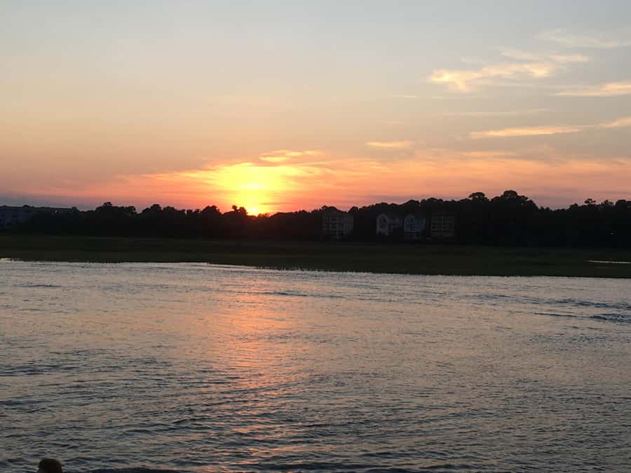 Hilton Head Island: Sunset Dolphin Watching Cruise - On-Board Team: Captain, Crew, and a Guide You Can Follow