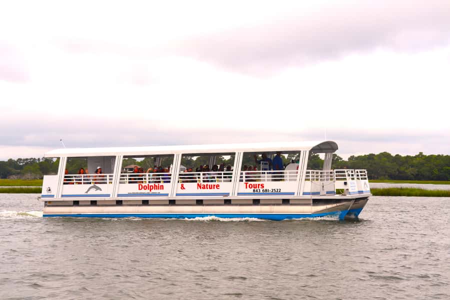 Hilton Head Island: Sunset Dolphin Watching Cruise - Dolphin Watching in Real Conditions (Not a Guarantee)