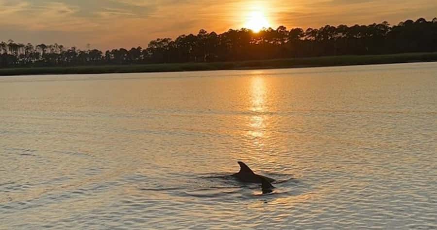 Hilton Head Island: Sunset Dolphin Watching Tour - First: where you meet and how to get on board fast