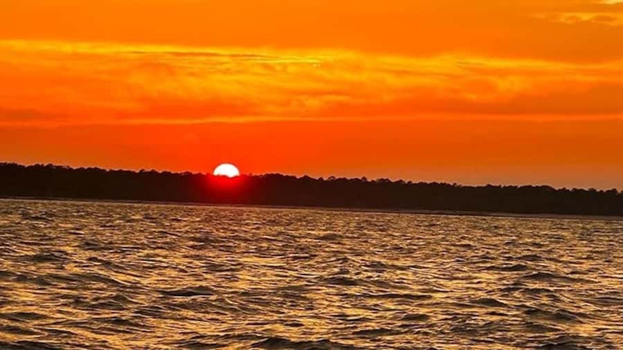 Hilton Head Island: Sunset Dolphin Watching Tour - The dolphin-watching part: how you get better odds of a memorable encounter