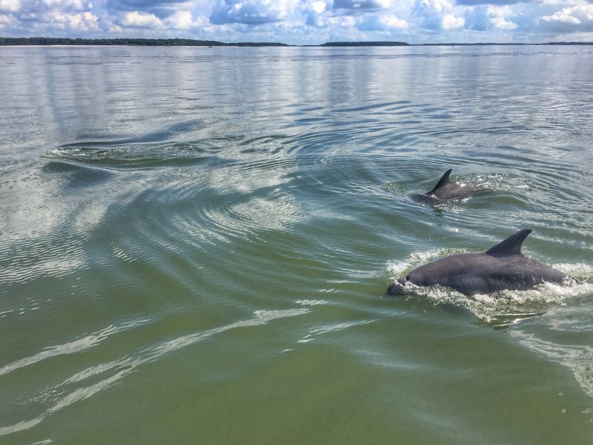Hilton Head Island: Sunset Dolphin Watching Tour - Calibogue Sound sunset: when the timing really clicks