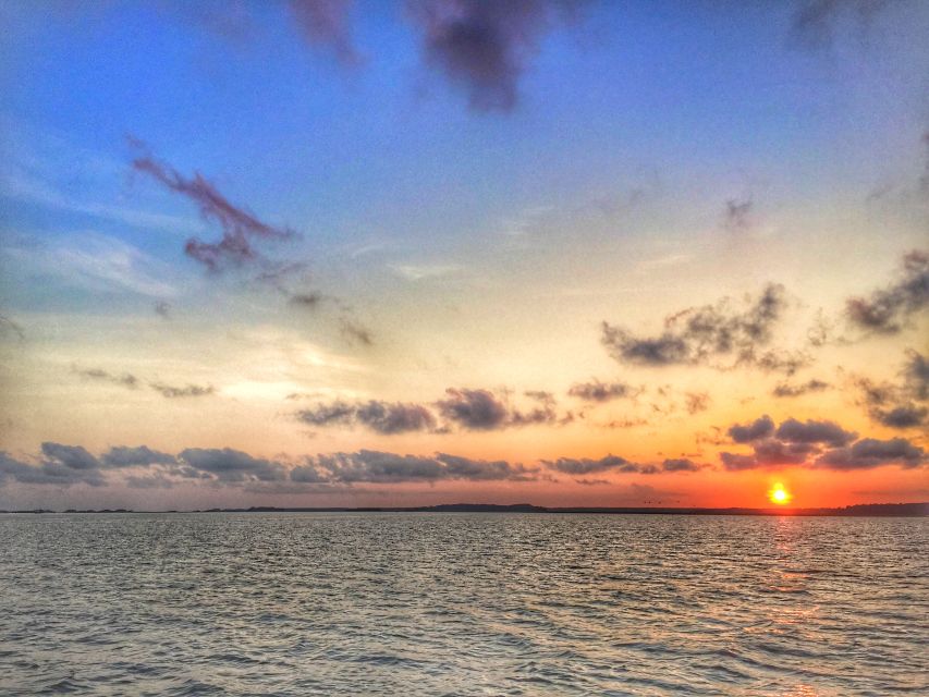 Hilton Head Island: Sunset Dolphin Watching Tour - Music, humor, and interactive moments that keep it from feeling stiff