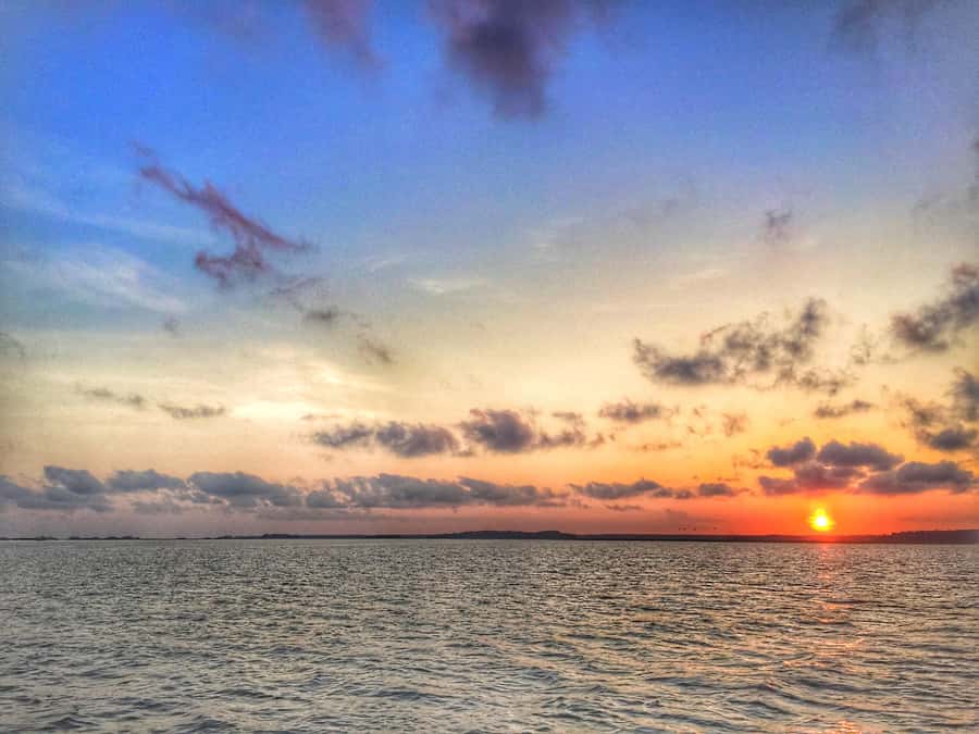 Hilton Head Island: Sunset Dolphin Watching Tour - Price and value: is $49 worth 90 minutes on the water?