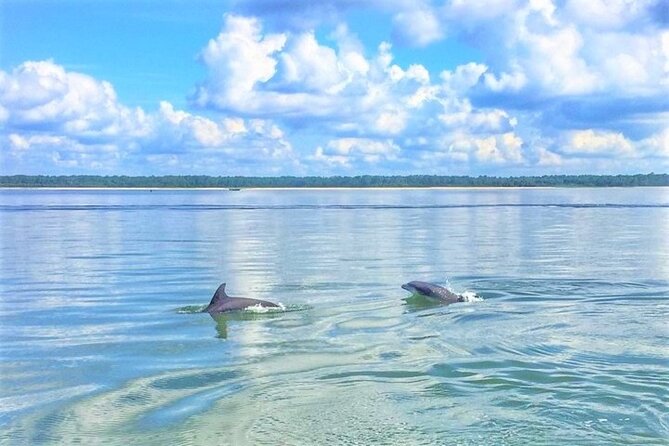 Hilton Head Morning Dolphins & Donuts Cruise - Key things to know before you go