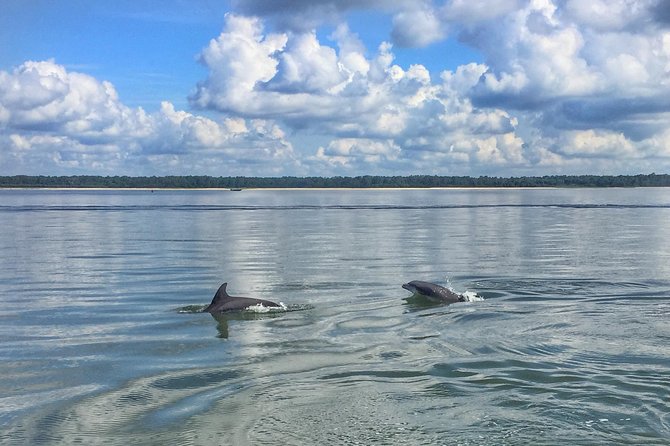 Hilton Head Morning Dolphins & Donuts Cruise - Harbour Town Golf Links Pass-By: A Quiet Bonus for Sports Fans