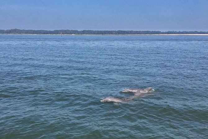 Hilton Head Morning Dolphins & Donuts Cruise - Donuts and Drinks Onboard: What’s Included and How to Handle It