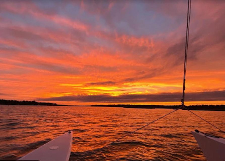Hilton Head: Private Dolphin Day or Sunset Catamaran Sail - The Salt Marsh Ecosystem Stories: What the Guide Adds While You Sail