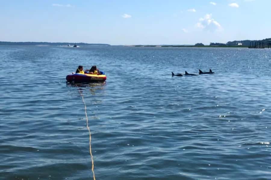 Hilton Head: Private Dolphins & Tubing Adventure - Key highlights worth your attention