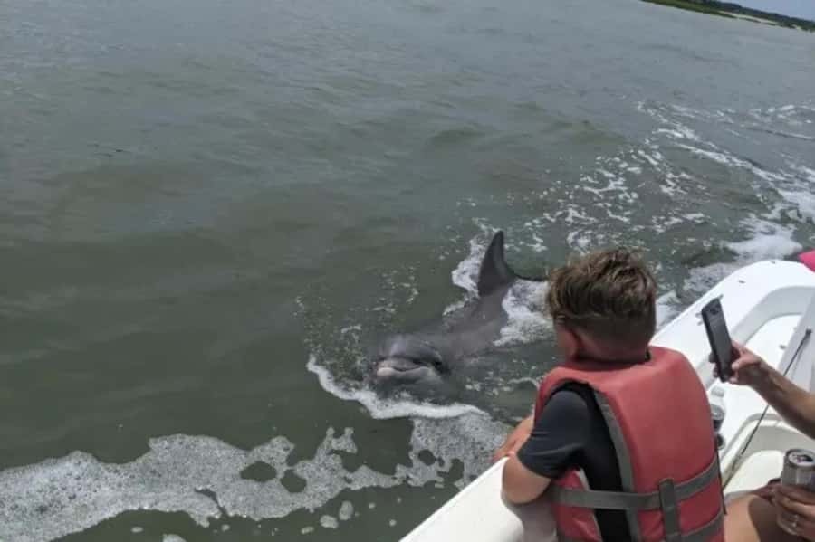 Hilton Head: Private Dolphins & Tubing Adventure - The Cruise Through Salt Marshes: Where Wildlife Starts Showing Up