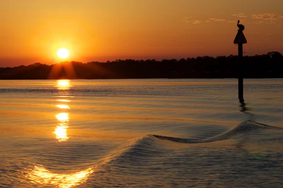Hilton Head: Sunset Dolphin Cruise with Scenic Views - Key Highlights You’ll Feel Right Away