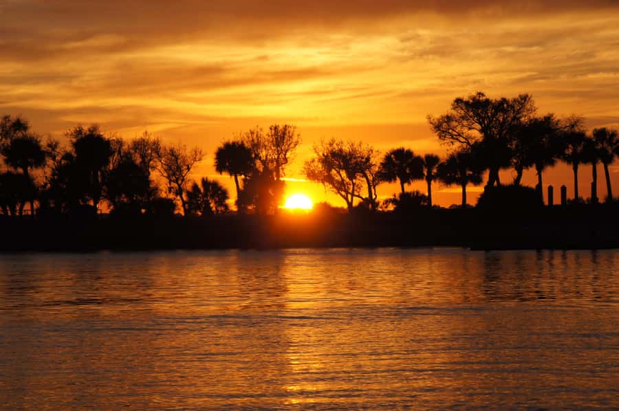 Hilton Head: Sunset Dolphin Cruise with Scenic Views - From Shelter Cove Marina to the Lowcountry Salt Marsh