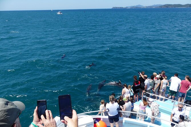 Hole in the Rock Scenic Cruise including Dolphins and Island stop - Where you’ll start: Paihia or Russell, then straight onto the water