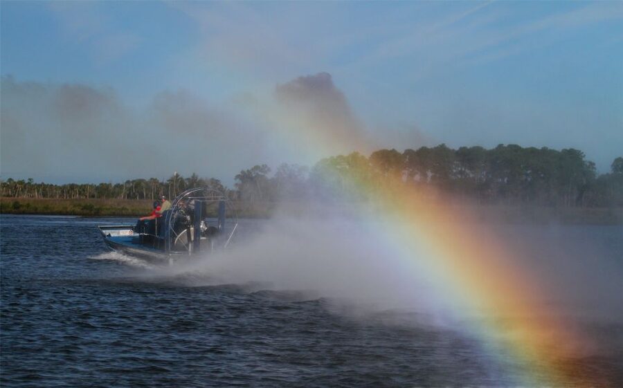 Homosassa: Gulf of Mexico Airboat Ride and Dolphin Watching - Key things to know before you go