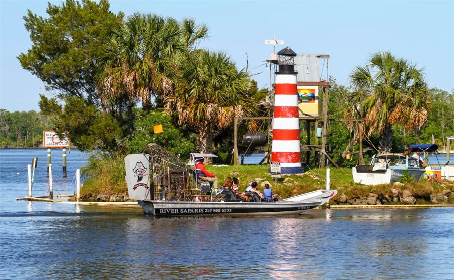 Homosassa: Gulf of Mexico Airboat Ride and Dolphin Watching - What You’ll Actually See: Dolphins, Manatees, and Day-to-Day Wildlife