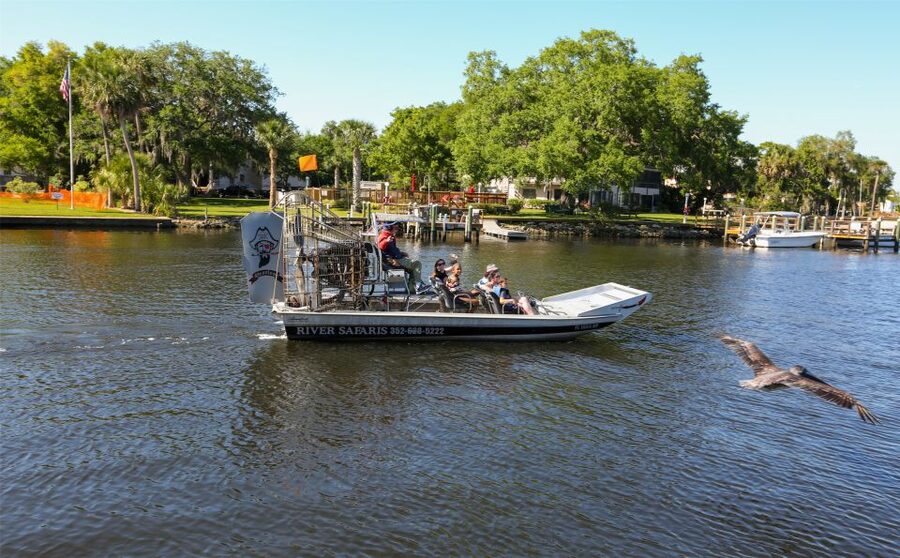 Homosassa: Gulf of Mexico Airboat Ride and Dolphin Watching - Should You Book This Homosassa Gulf Ride?