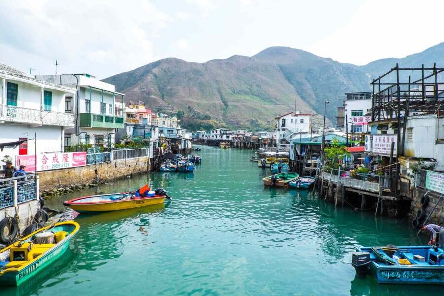 Hong Kong: Dolphin Cruise, Big Buddha & Lantau Island Tour - Dolphin-watching cruise: what the ocean time is really like