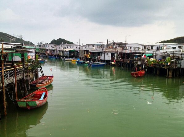 Hong Kong Dolphin Watch Tour - Key things I’d circle before you book
