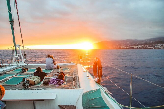 Hop-on Hop-off Bus Tour and Catamaran Whale & Dolphin Watching - Key things to know before you ride