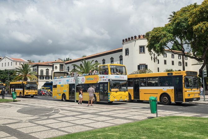 Hop-on Hop-off Bus Tour and Catamaran Whale & Dolphin Watching - The catamaran whale and dolphin watching: how to be ready