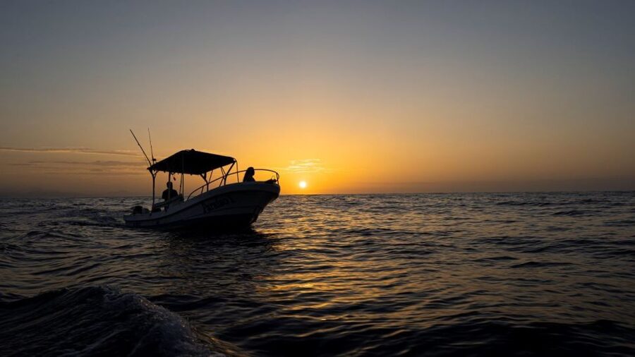 Huatulco: Awakening with Stars Dolphins Boat Cruise - What to Bring (and What to Leave Behind)