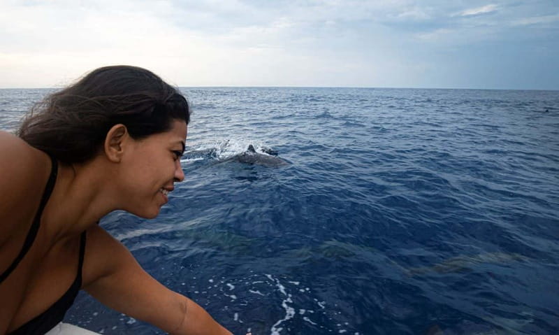Huatulco: Awakening with Stars Dolphins Boat Cruise - Price and Value: Is $57 Worth a Dawn Cruise?
