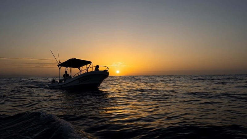 Huatulco: Awakening with Stars Dolphins Boat Cruise - Who Should Book This Cruise