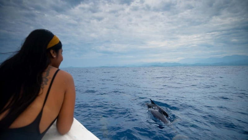 Huatulco: Awakening with Stars Dolphins Boat Cruise - Wildlife Spotting That Keeps Expectations Realistic