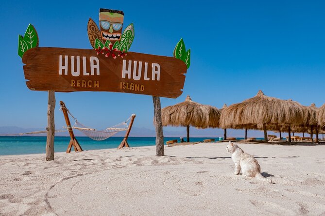 Hula Hula Island and Dolphin House with Snorkeling by Speedboat - Key highlights worth your attention