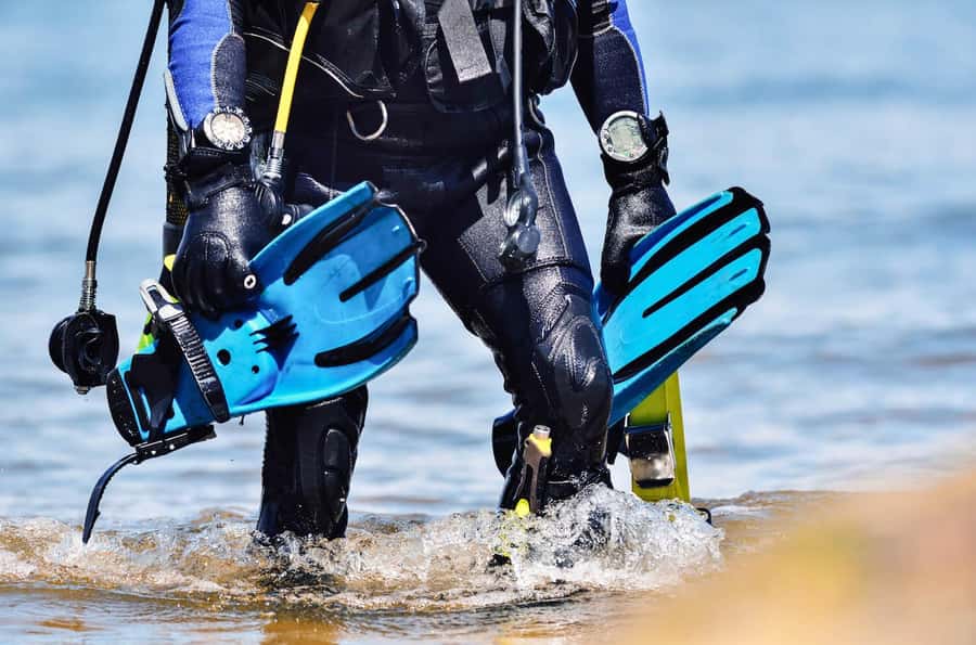 Hurghada: 1 day DIVING Refrechment, Check Dives and Dolphins - Hurghada shore-reef refresher: who this day plan is for