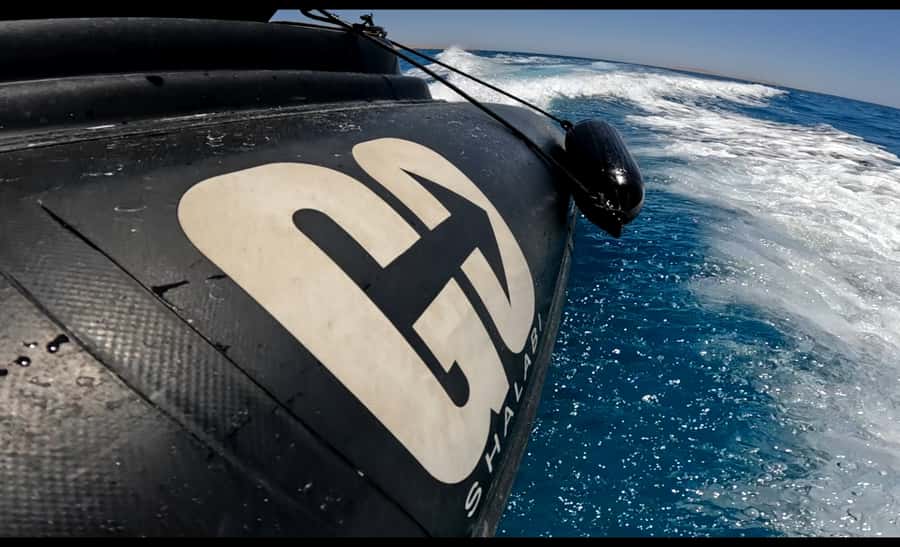 Hurghada: 3-Island Speedboat, Dolphin Watching & Snorkeling - Who this Hurghada speedboat trip suits best