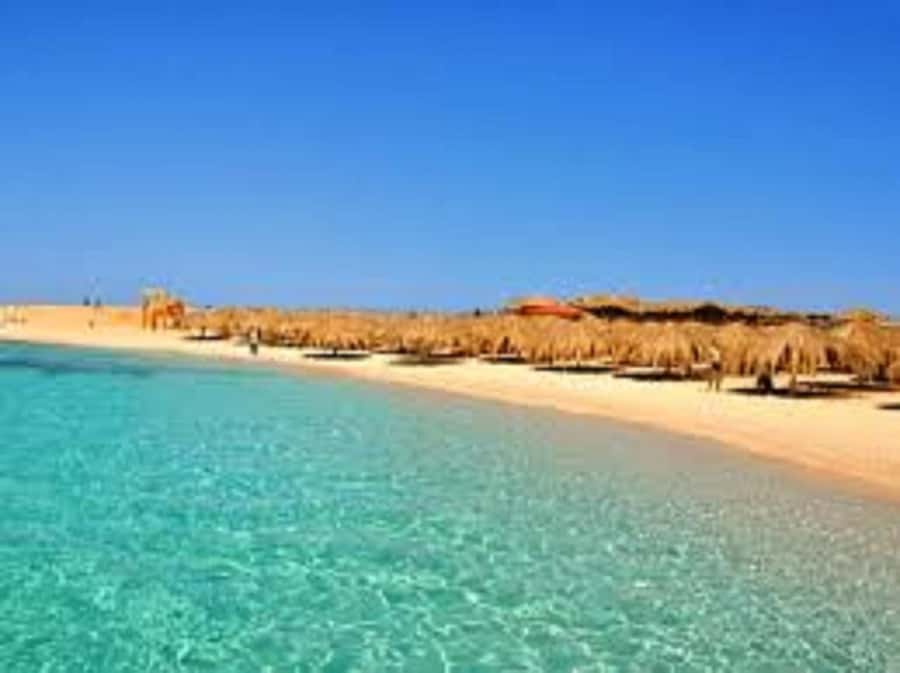 Hurghada: 3-Island Speedboat, Dolphin Watching & Snorkeling - Pickup and timing: how to avoid the common frustration