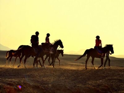 Hurghada: 4 Days Tour Horse, Camel, Spa, ATV, Jeep & Dolphin - Horse Riding Along the Red Sea: A Soft Start With Real Views