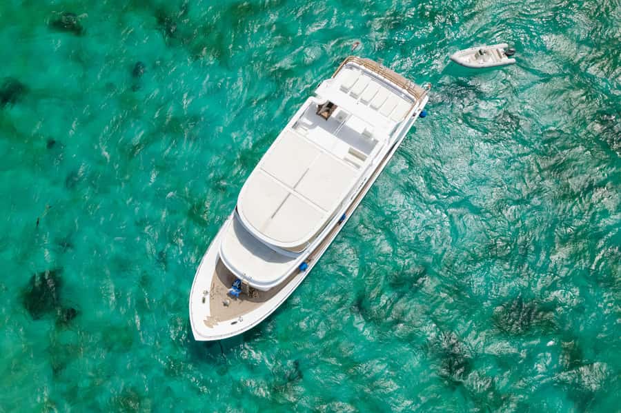 Hurghada: All-Inclusive Elite VIP Dolphin House & Massage - What to bring (and what to plan for) in the Red Sea