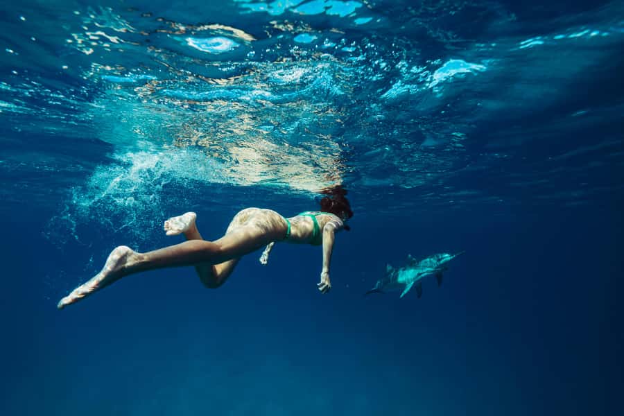 Hurghada: All-Inclusive Elite VIP Dolphin House & Massage - Dolphin House Reef: how close you really get to wild dolphins