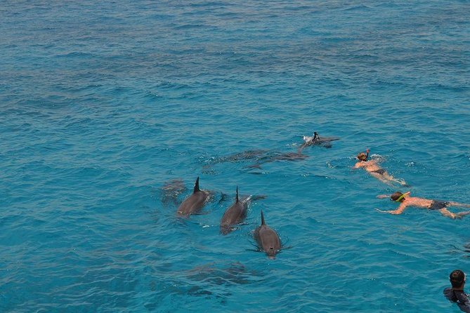 Hurghada Boat Trip to See Dolphins With Snorkeling and Lunch - Snorkeling the Reefs: Two Guided Stops You Can Actually Use