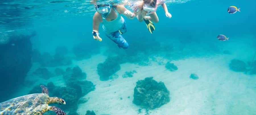 Hurghada: Day Snorkeling with Dolphins - First Gear: How the Hotel Pickup Sets the Tone in Hurghada