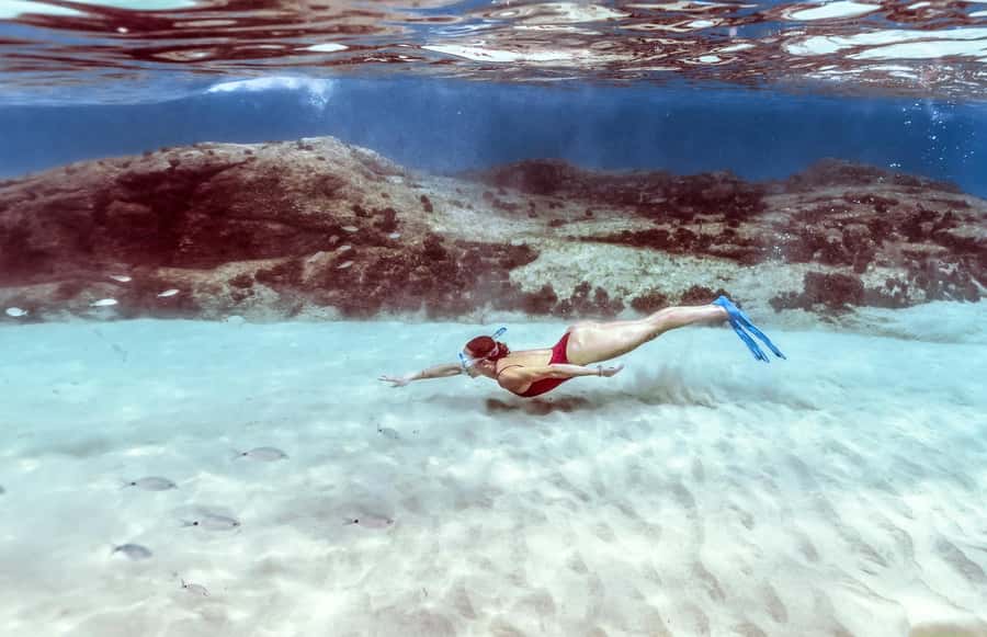 Hurghada: Day Snorkeling with Dolphins - Transfers, Languages, and How the Day Feels for Different Travelers