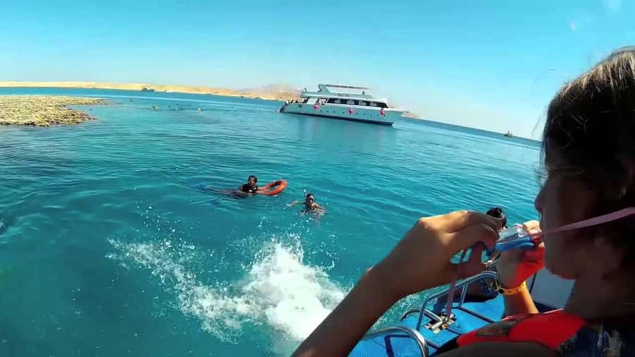 Hurghada: Day Snorkeling with Dolphins - Who This Trip Fits Best (and Who Should Skip It)