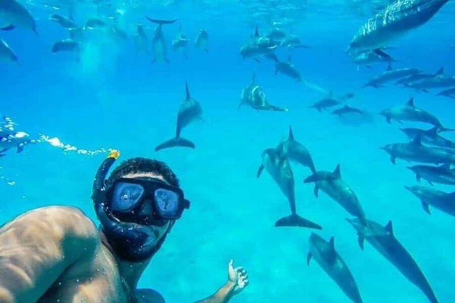 Hurghada: Dolphin & Coral Reef Snorkeling Tour with Lunch - Quick hits before you go